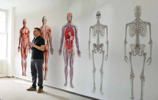 5 anat bundle 5 anat bundle